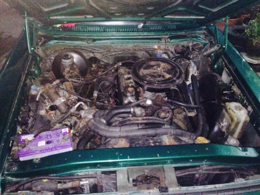 ขาย ยักษ์เขียว คราวกระโห้ 55000