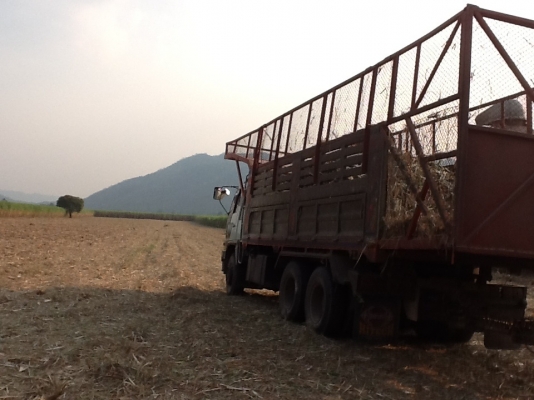 ขายด่วน สิบล้อ HINO 3M 240 แรงม้า ดั้มเดิมๆ สวยมาก