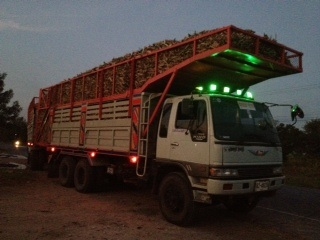 ขายด่วน สิบล้อ HINO 3M 240 แรงม้า ดั้มเดิมๆ สวยมาก
