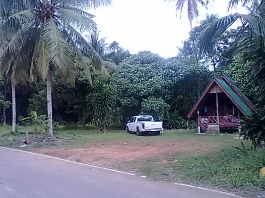 ขายที่่ดินเกาะช้าง