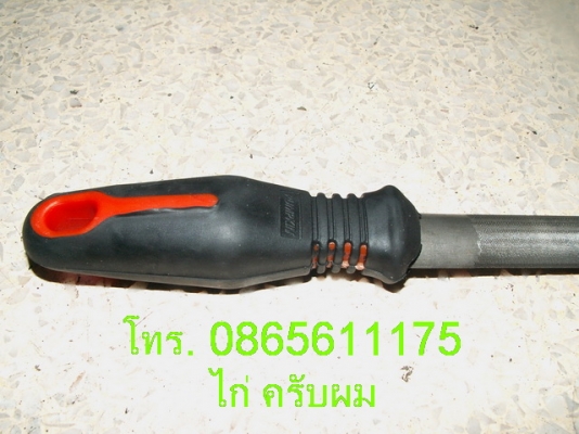 วันนี้มีฟักทองมาขายครับผม