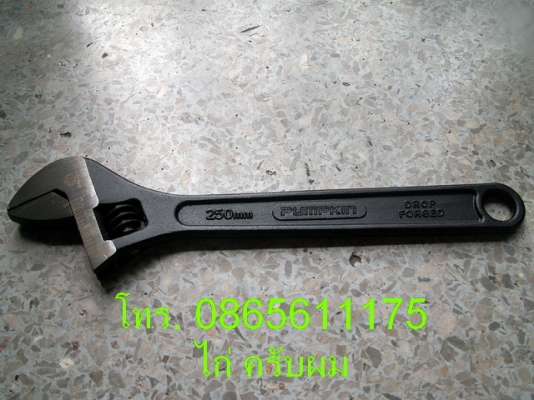 วันนี้มีฟักทองมาขายครับผม