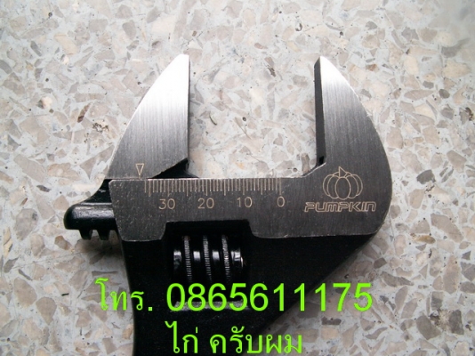 วันนี้มีฟักทองมาขายครับผม