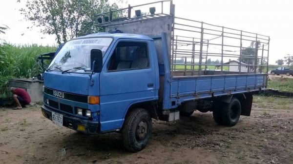 ขายISUZU NPR100แรง เครื่องดี 4BC2 แคชซีสวย ยางดี เกียร์สั้น สภาพพร้อมใช้งาน เอกสารพร้อมโอน สนใจโทร 090-8588220คุณนะ ID:narong498 หรือ www.truck.in.th/498
