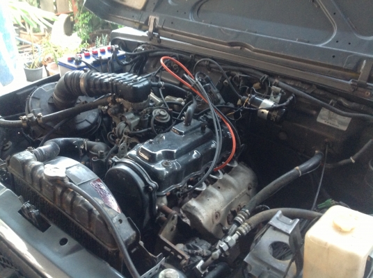 คาริเบียนปี41 คาริเบียนปี41