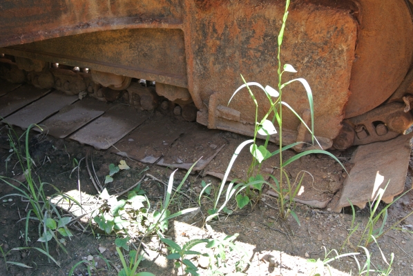 CAT320C ไม่มีเเล่มทะเบียน