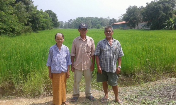 ขายที่นาสองแปลง105ไร่ไร่ละเเสนสาม ขายที่นาสองแปลง105ไร่ไร่ละเเสนสาม