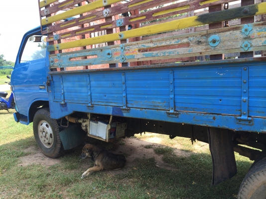 ขายด่วน