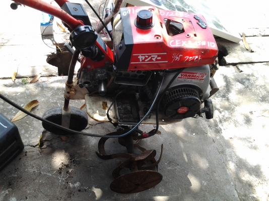 ขายถูกๆ