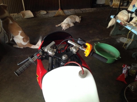 ขายls125 ราคา15500