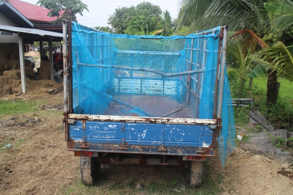 ขายด่วน ขายใหม่ ขายด่วน ขายใหม่