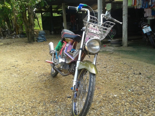 ชาลี เครื่องไลฟาน 110 cc ชาลี เครื่องไลฟาน 110 cc