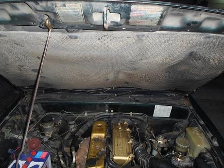 ขาย isuzu  tfr