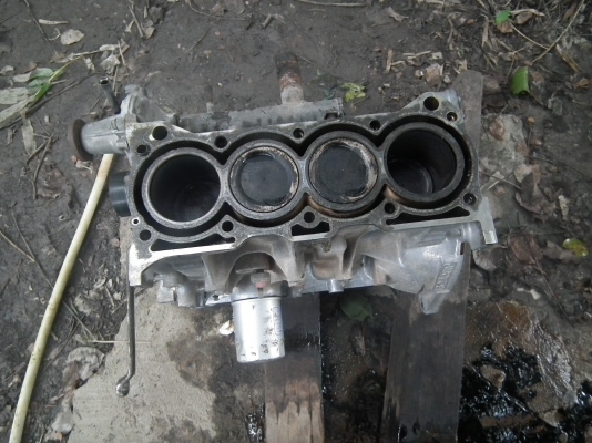 ขายเครื่อง คารีเบียน