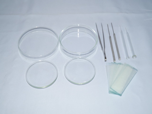 กล้องจูลทรรศน์