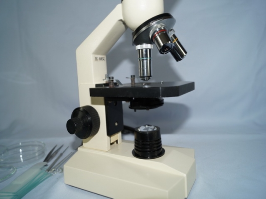 กล้องจูลทรรศน์