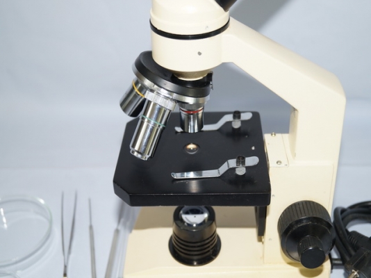 กล้องจูลทรรศน์