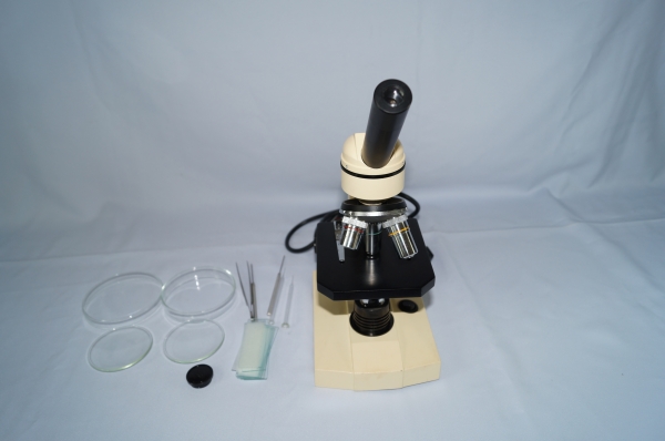 กล้องจูลทรรศน์