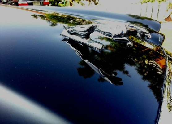 JAQUAR XJ6 2jge gas lpg