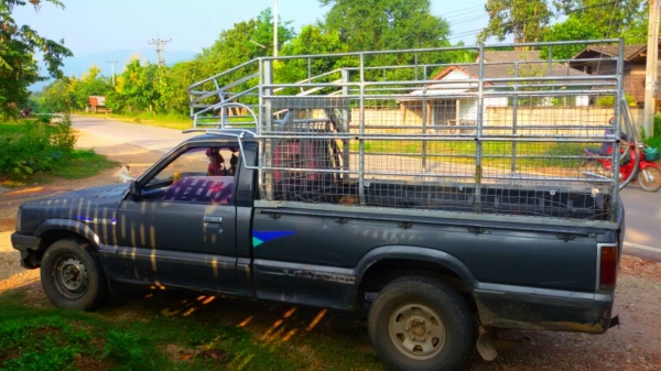 ขาย mazda B2200