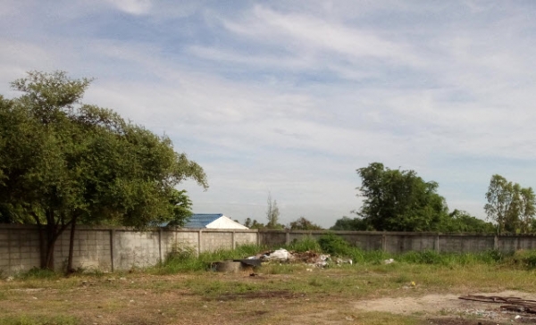 เซ้งร้านรับซื้อของเก่าเนื้อที่1ไร่