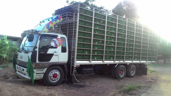 ขายรถ 10 ล้อ