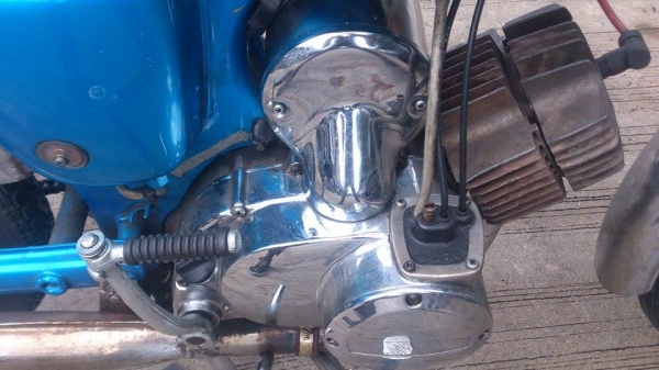 a100 มีทะเบียน a100 มีทะเบียน