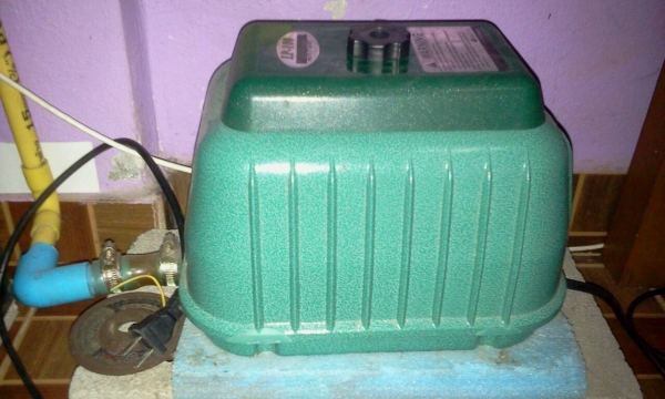 ปั๊มลม lp100