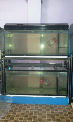 ตู้ปลา 36นิ้ว กับ 48นิ้ว