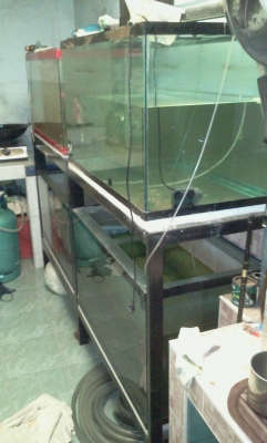 ตู้ปลา 36นิ้ว กับ 48นิ้ว