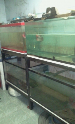 ตู้ปลา 36นิ้ว กับ 48นิ้ว