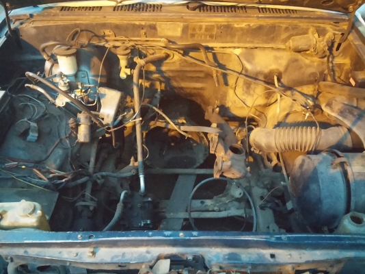 MightyX บอดี้ดี คัชซีสวย ตามสภาพ MightyX บอดี้ดี คัชซีสวย ตามสภาพ