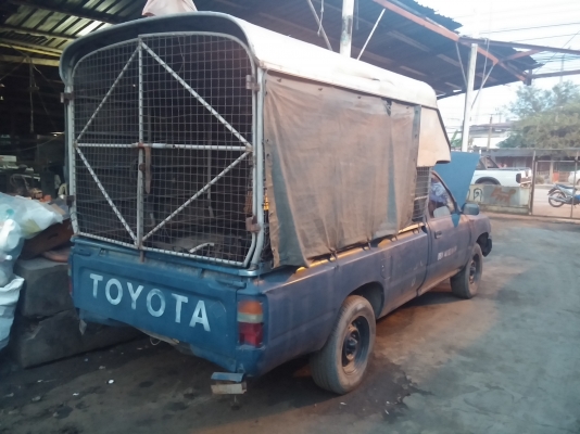 MightyX บอดี้ดี คัชซีสวย ตามสภาพ MightyX บอดี้ดี คัชซีสวย ตามสภาพ