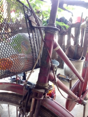 ขายรถจักรยานโบารณ