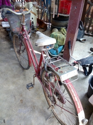 ขายรถจักรยานโบารณ
