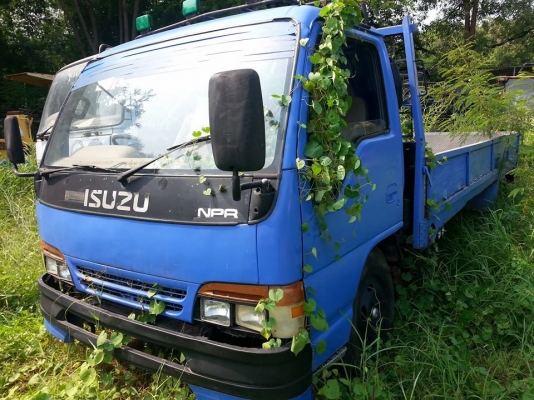 ขายISUZU NPR120แรง ฝาขาว ยาว4.30เมตร เครื่องดี แคชซีสวย ต้องเก็บงานนิดหน่อย เอกสารพร้อมโอน สนใจโทร 090-8588220คุณนะ ID:narong498 หรือ www.truck.in.th/498
