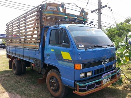 ขายISUZU NPR115แรง เกียร์ยาว เครื่องดี แคชซีสวย เฟืองท้ายใหญ่F สภาพพร้อมใช้งาน เอกสารพร้อมโอน ราคา450,000 สนใจโทร 090-8588220คุณนะ ID:narong498 หรือ www.truck.in.th/498