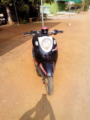 ฟีโน่ปี52 ราคารวมส่ง