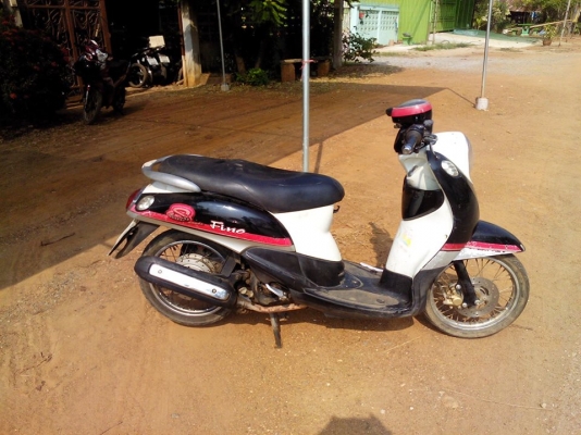 ฟีโน่ปี52 ราคารวมส่ง