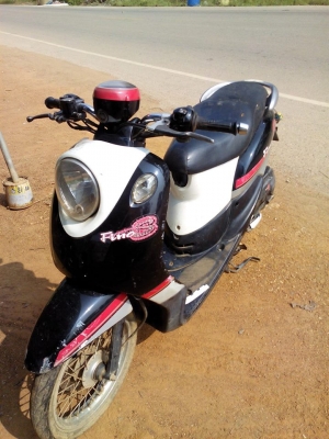 ฟีโน่ปี52 ราคารวมส่ง