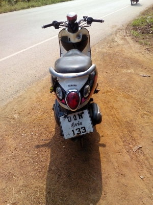 ฟีโน่ปี52 ราคารวมส่ง