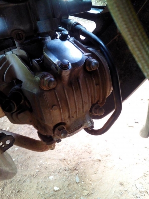 ดรีม125ปี49 ราคารวมส่ง