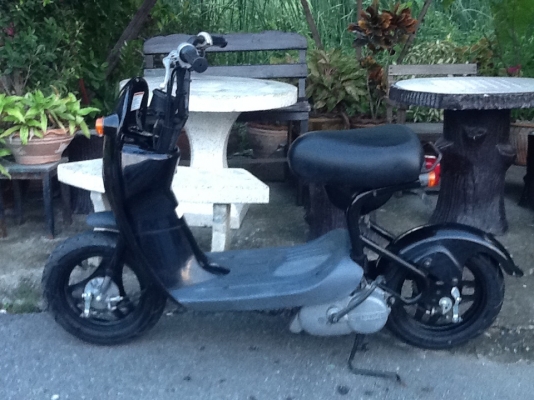 Suzuki choinori 50cc