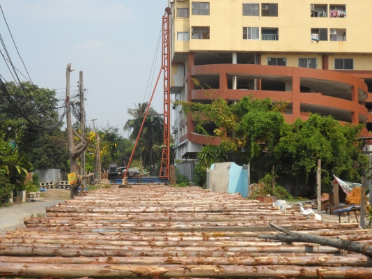 รับตอกเสาเข็มเขื่อน กำแพงกันดิน รั้ว นั่งร้าน ไม้ยูคา  เสาเข็ม