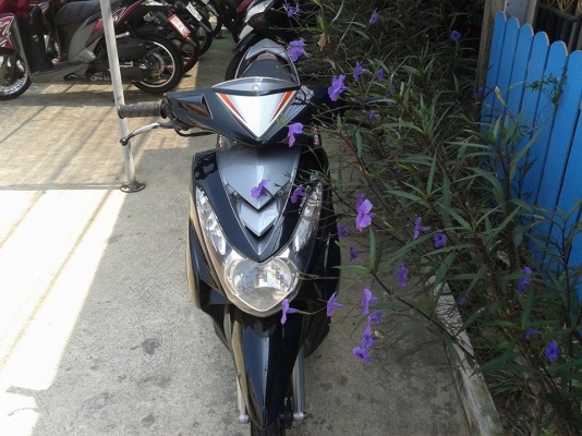 มีีโอ115 เครื่องดีพร้อมใช้         12500 บาท