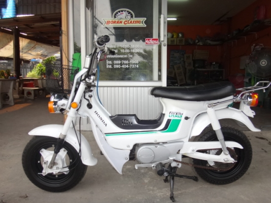 ขายชาลีHondaแท้สีขาวสวยๆเดิมแม็ก4ก้าน(ร้านโบราณคลาสสิคเจ้าเก่า)กทมไลท์บางแค