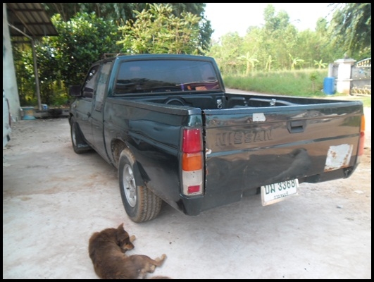 ขายด่วน!!! นิสสันบิ๊กเอ็ม ขายด่วน!!! นิสสันบิ๊กเอ็ม