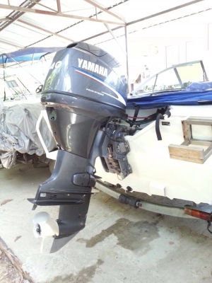 ขายเรือ BLUEFIN420 เครื่อง YAMAHA 40แรงfour