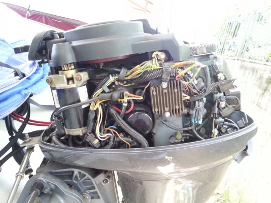 ขายเรือ BLUEFIN420 เครื่อง YAMAHA 40แรงfour