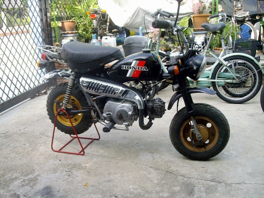 *** ขาย Honda MONKEY 6v มือสองญี่ปุ่น *** *** ขาย Honda MONKEY 6v มือสองญี่ปุ่น ***
